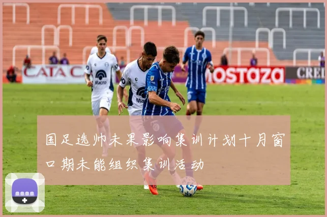 国足选帅未果影响集训计划十月窗口期未能组织集训活动