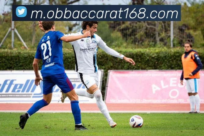 欧博视讯平台生态图