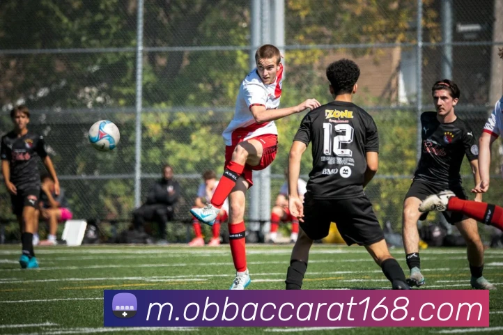 欧博视讯APP 封面图